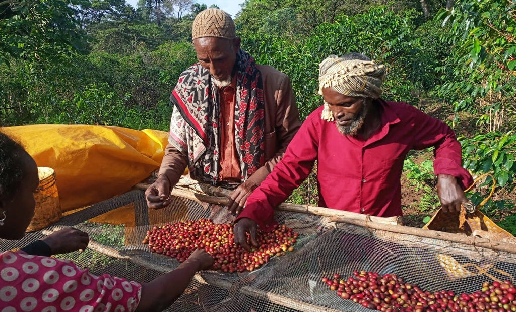 V 60