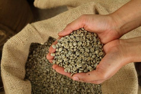 Ouganda - AMAZZI - Robusta  ( Lavé )