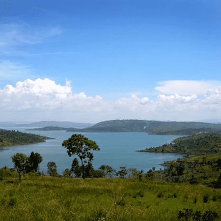 Congo Lac Kivu  - Score 83 (Lavé - Bio)
